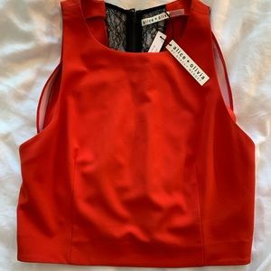 NWT Alice + Olivia lace paneled red crop top with black lace